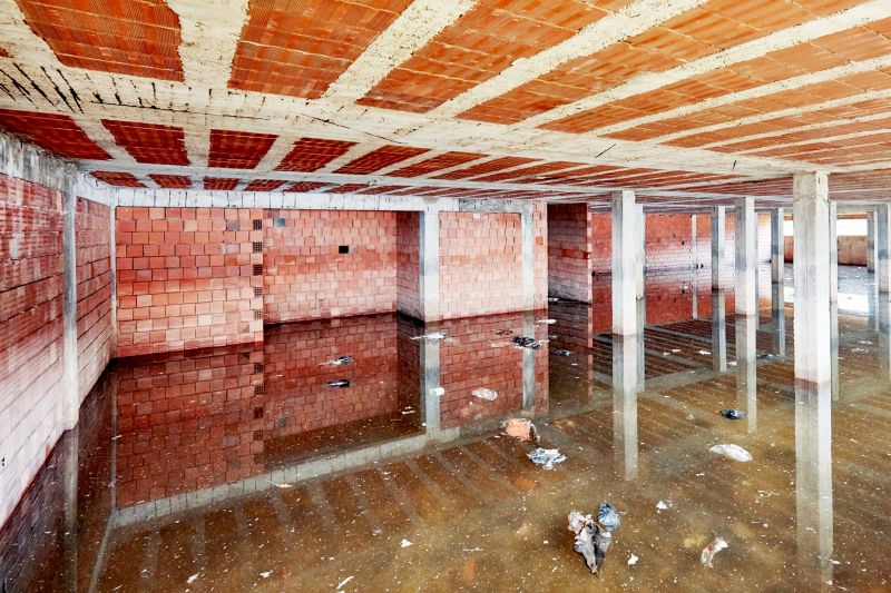 Basement Restoration Service in Mesa, AZ