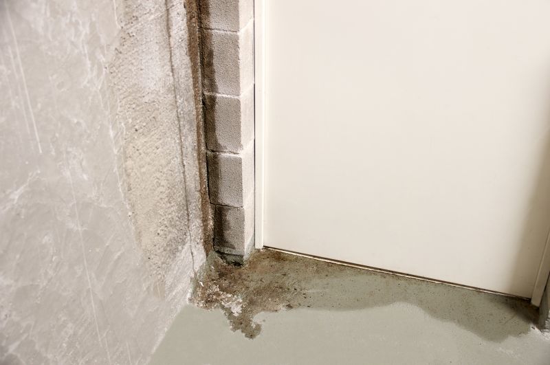 Foundation Leak Repair in Fort Collins, CO
