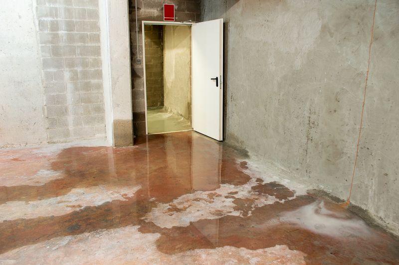 Leaking Basement Repair in Fort Collins, CO