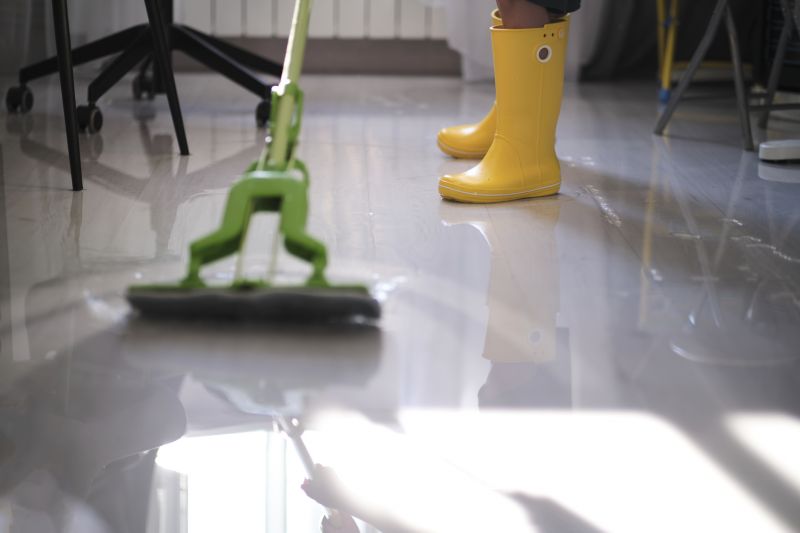 Moisture Removal Service in Scottsdale, AZ